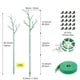 thumbnail image 3 of 6Pack Detachable Twig Plant Support Stakes Set,20Pcs Orchid Clip, 3 of 5