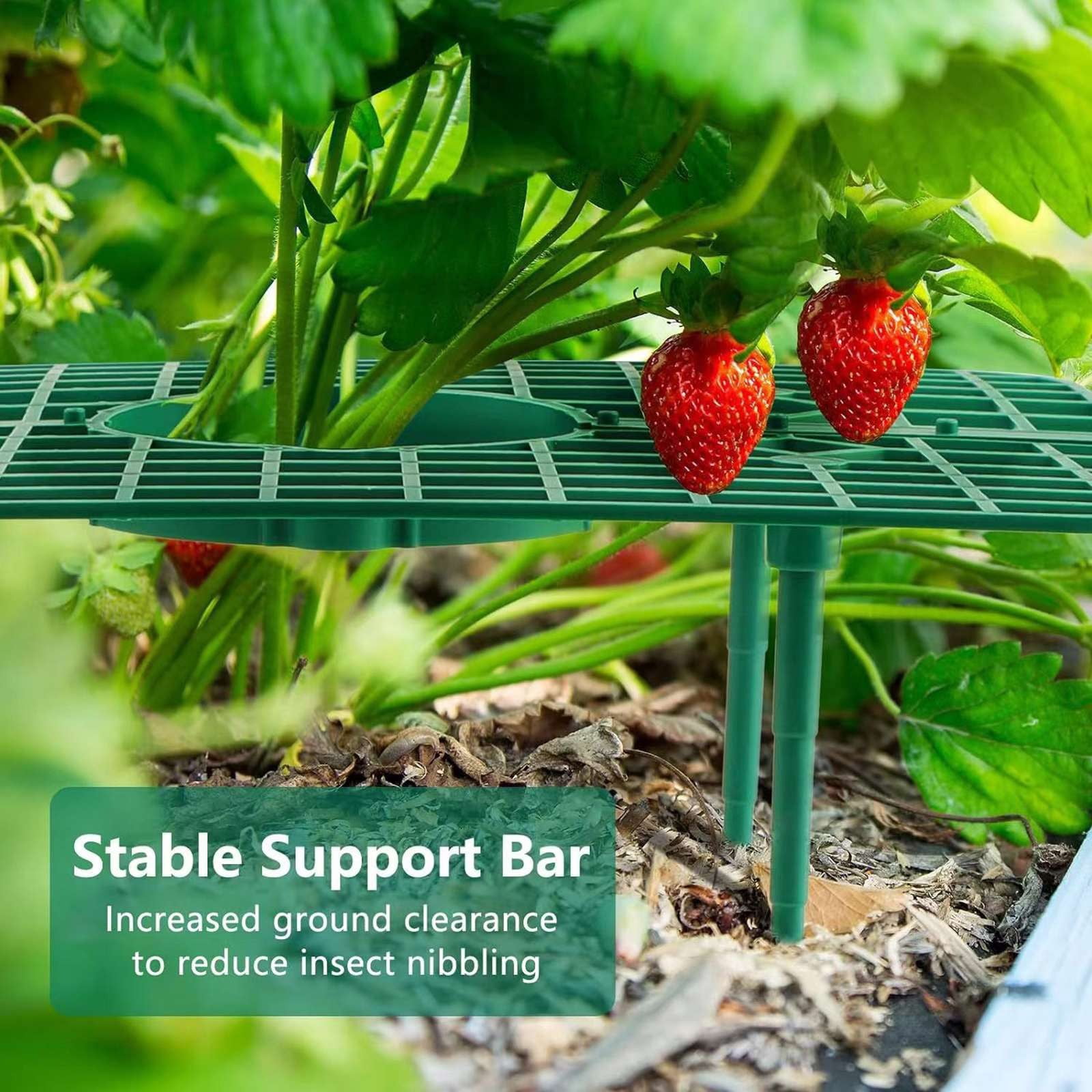 10 Packs Square Strawberry Supports-Strawberry Growing Racks- Plant Support Strawberry Stand Holder Growing Frame Keep Berries Clean