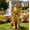 Gold, variant on WRXELAN Rustic Wild Boar Garden Statue, 12.20X21.26 Inch Resin Animal Sculpture with Textured Fur & Prominent Tusks, Outdoor Ornament for Lawn, Patio & Woodland Landscape(Black-Wild Boar)