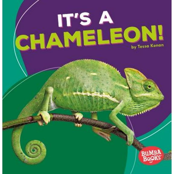Bumba Books (R) -- Rain Forest Animals: It's a Chameleon! (Paperback)