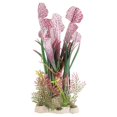 thumbnail image 1 of 3 plantas para pecera., 1 of 3