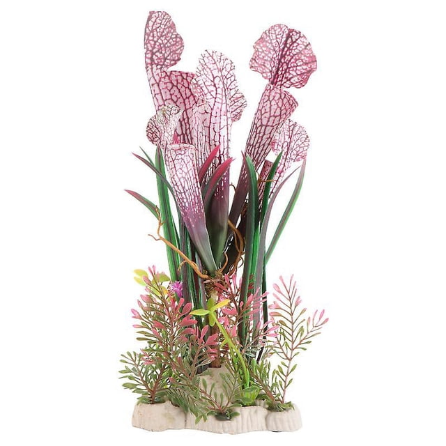 3 plantas para pecera.