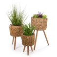 thumbnail image 1 of Truu Design Decorative Hyacinth Planter Set with Wooden Legs, 1 of 7