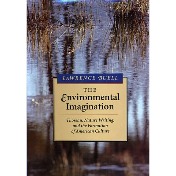 The Environmental Imagination (Paperback)