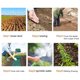 thumbnail image 4 of 32,8 pies × 0,66 pies, esterilla biodegradable para plántulas, rollo de esterilla biodegradable para ayudar al crecimiento y la germinación, cubierta protectora para jardín de primavera, 4 of 5