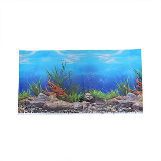3d Aquarium Background