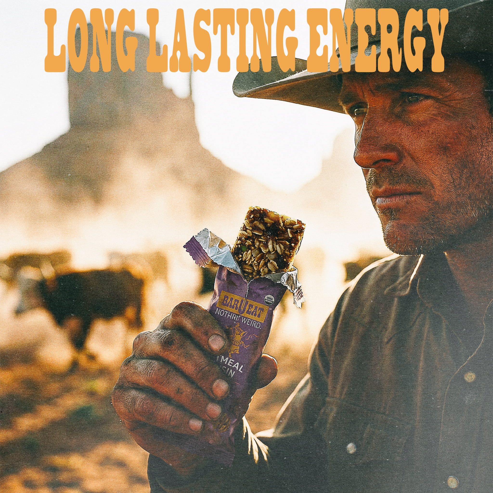 BAR-U-EAT Gluten-Free, Organic, Soft & Chewy Energy Bar. Whole Food Ingredients | Compostable Packaging | No Artificial Sugar | Healthy Snacks (Oatmeal Raisin 12 Pack)