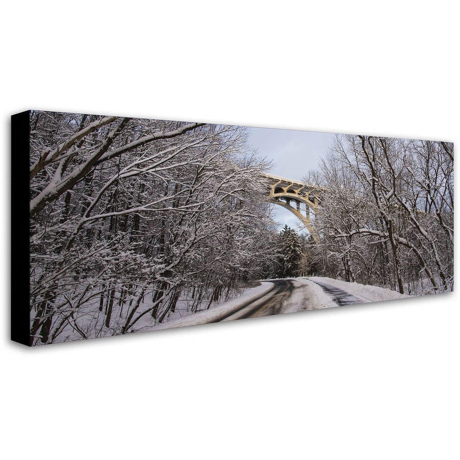 Trademark Fine Art "Heavy Snowfall Along the Parkway 2" Canvas Art by Kurt Shaffer