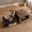 Rustic Brown + Black, variant on Costway 2-Tier Coffee Table with Open Storage Shelf, Cross-shaped Base for Living Room Rustic Brown