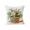 D, variant on Christmas Green Plant Series Pillowcase, 17.72x17.72 inch Berry Print Pillowcase, Festive Living Room Scene Decoration