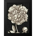 thumbnail image 2 of Vision Studio 11x14 Black Modern Framed Museum Art Print Titled - Dramatic Peony I, 2 of 5