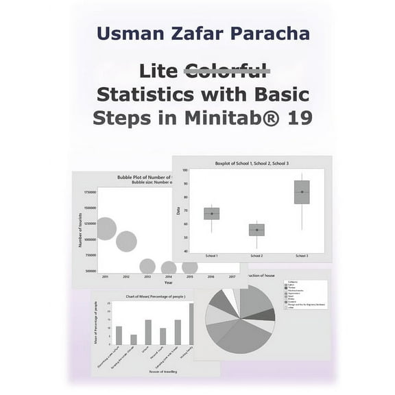 Lite Statistics with Basic Steps in Minitab(R) 19 (Paperback)