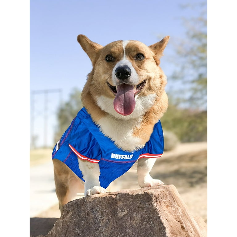 Buffalo bills pet jersey sale