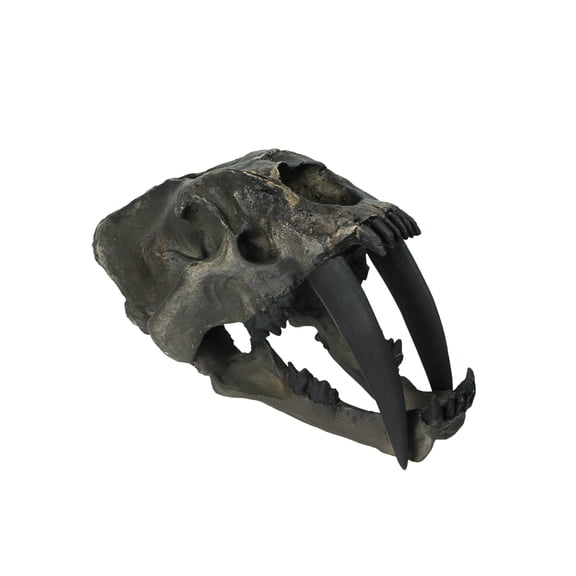 Zeckos 14 inch Hand Painted Realistic Prehistoric Brown Saber Toothed Cat Skull Fossil Statue Figure