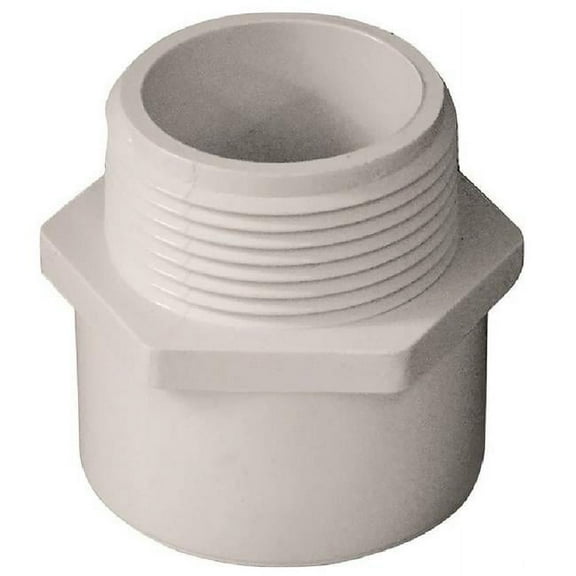 Westlake Pipe & Fittings Adapter, 1 1/4 x 1 1/4 in, Schedule 40 436012BC
