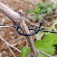 thumbnail image 3 of TEHAUX Grape Vines Support Clip Garden Fixing Clip Vine Clip Plastic Tying Clip Branch Fixing Clip, 3 of 8