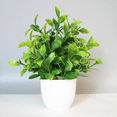 thumbnail image 4 of Planta de simulación Planta falsa Planta verde Decoración de interior y exterior Eucalipto en maceta de plástico Planta pequeña en maceta, 4 of 6