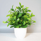 thumbnail image 4 of Planta de simulación Planta falsa Planta verde Decoración de interior y exterior Eucalipto en maceta de plástico Planta pequeña en maceta, 4 of 6