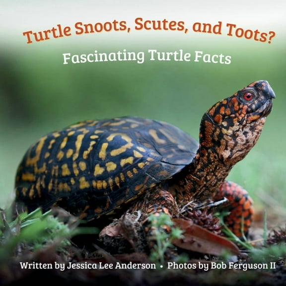Turtle Snoots, Scutes, and Toots? Fascinating Turtle Facts, (Paperback)