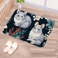thumbnail image 5 of Animal Polyester Chair Mat Non-Slip Machine Washable Indoor Carpet Rug, 5 of 6