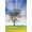 colour, variant on Short Story Club Short Story Club 7: Ten Short Stories for the Young and Young at Heart, Book 7, (Paperback)