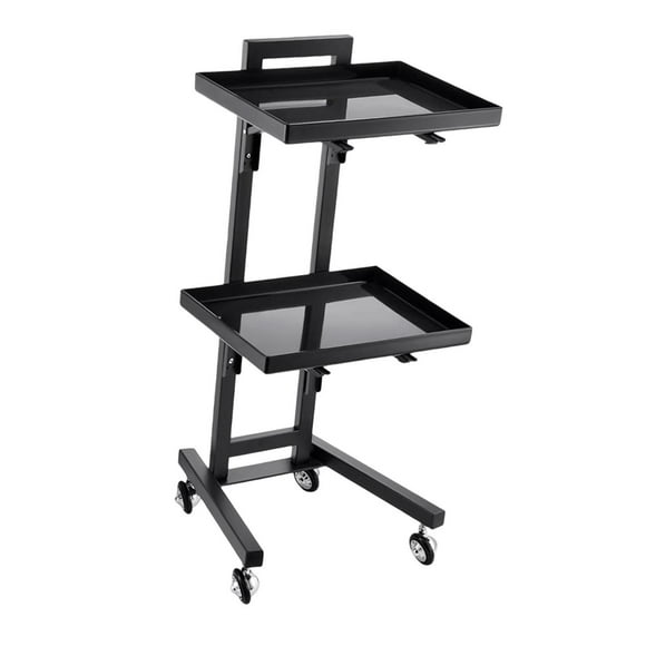 HILABEE Rolling Salon Tray Cart Organizer Hairstylist Cart for SPA Shops Hairdresser