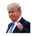thumbnail image 1 of Cartoon Character 2024 Car Stickers Waterproof Auto Rear Window Decoration E1 N1E9, 1 of 1