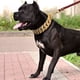 thumbnail image 5 of Collares De Acero Inoxidable Para Perros Grandes - Plato Oro Color Dorado Huesos Tamaño del collar 28 inches/71cm, 5 of 5