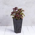 thumbnail image 3 of Root & Vessel Ella Tall Planter, Black, 19.5", 3 of 5
