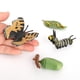 thumbnail image 1 of Juego de crecimiento de insectos para niños Hugo 4 Juguetes de Enseñanza de Aprendizaje de Educación de Mariposa Natural, 1 of 10