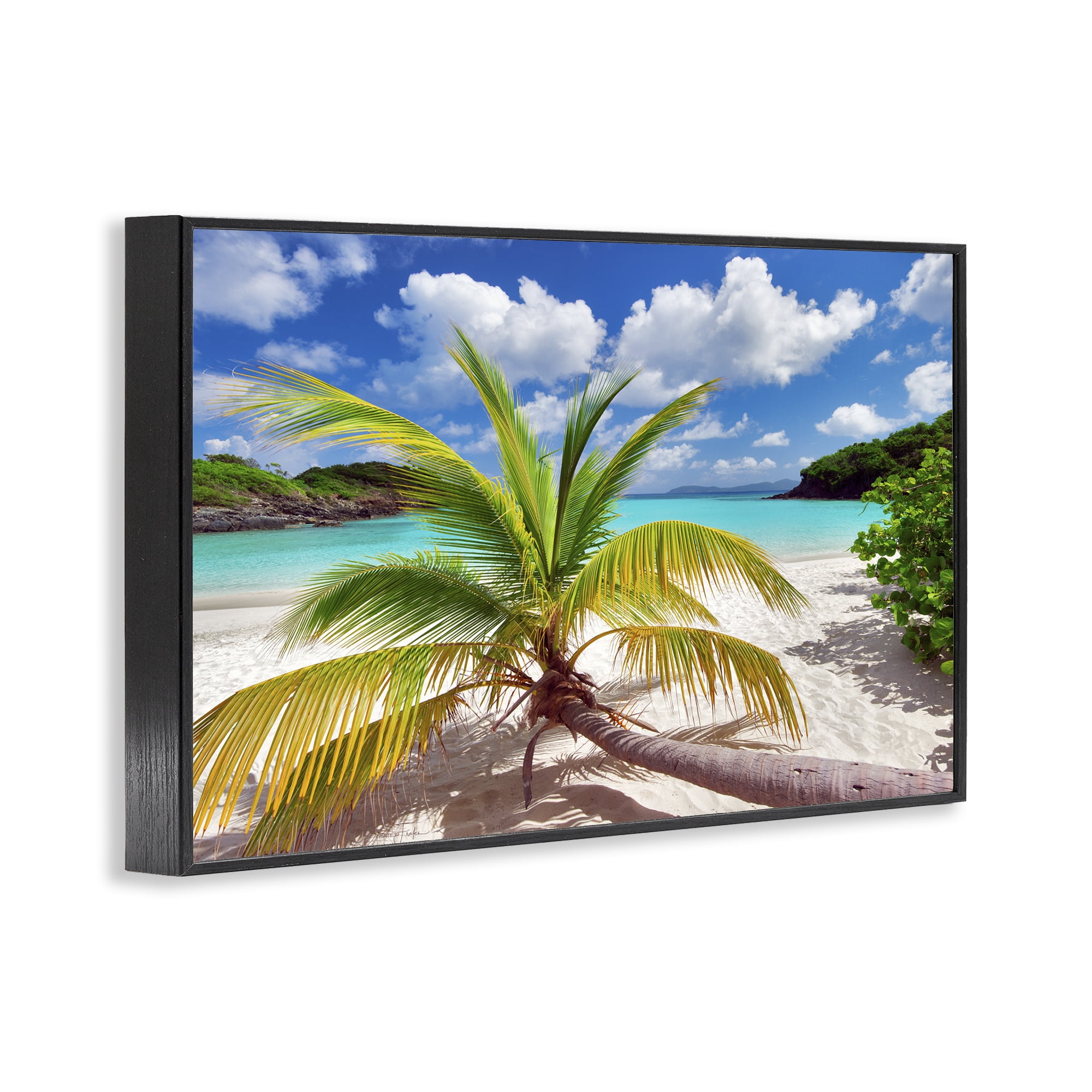Stupell Industries Palm Tree Across Beach Coastal Photography Black Framed Art Print Wall Art, 24 x 16