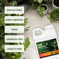 thumbnail image 4 of Yield Titan's 100% Pure Cold Pressed Concentrated Neem Oil for Indoor and Outdoor Plants and Vegetable (16OZ), 4 of 6