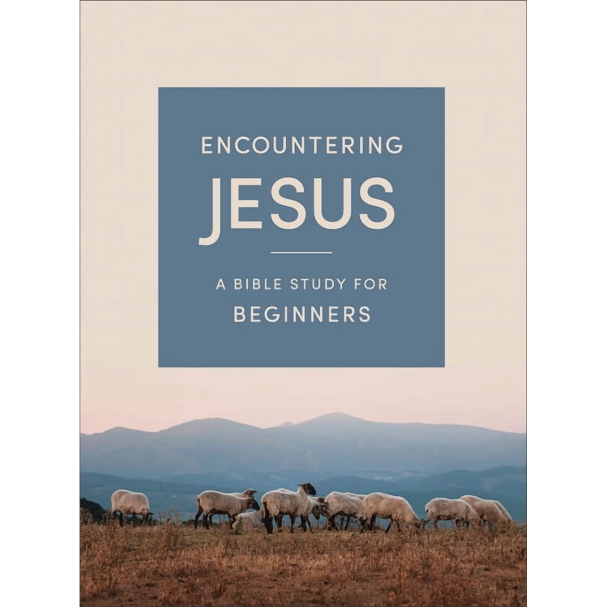 Encountering Jesus: A Bible Study for Beginners (Paperback)