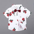 thumbnail image 4 of Ensemble Chemise à Manches Courtes Col Rabattu Style Décontracté pour Garçons Fête Banquet Randonnée Enfants Motif Rose Hauts Shorts Kit 120cm, 4 of 9