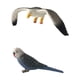 thumbnail image 1 of Home Seagull Parrot Classic Figurilla, de 2 para Decoración de de jardín, 1 of 9
