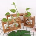thumbnail image 2 of PANuYIN Modern Triple Erlenmeyer Desk Vase | Hydroponics Plant Glass | Terrarium Vase Container | Planter Pot with Wooden Stand (Triple Stand with Post), 2 of 3