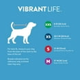 thumbnail image 4 of Vibrant Life Nylon Water Repellant Windbreaker Raincoat for Dogs, Blue, Medium, 4 of 5