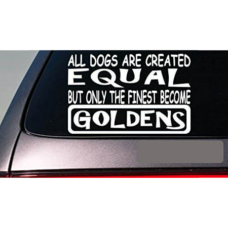 Goldens all dogs equal 6