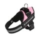 thumbnail image 1 of Premium No-Pull Dog & Cat Harness - Adjustable, Soft & Padded with Easy Control Handle, 1 of 5