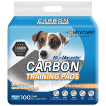 HONEY CARE All-Absorb Puppy Training Pads | Eliminating Urine Odor, Ultra Charcoal Dog Pee Pad (Carbon, L 22x23 inch, 100ct)