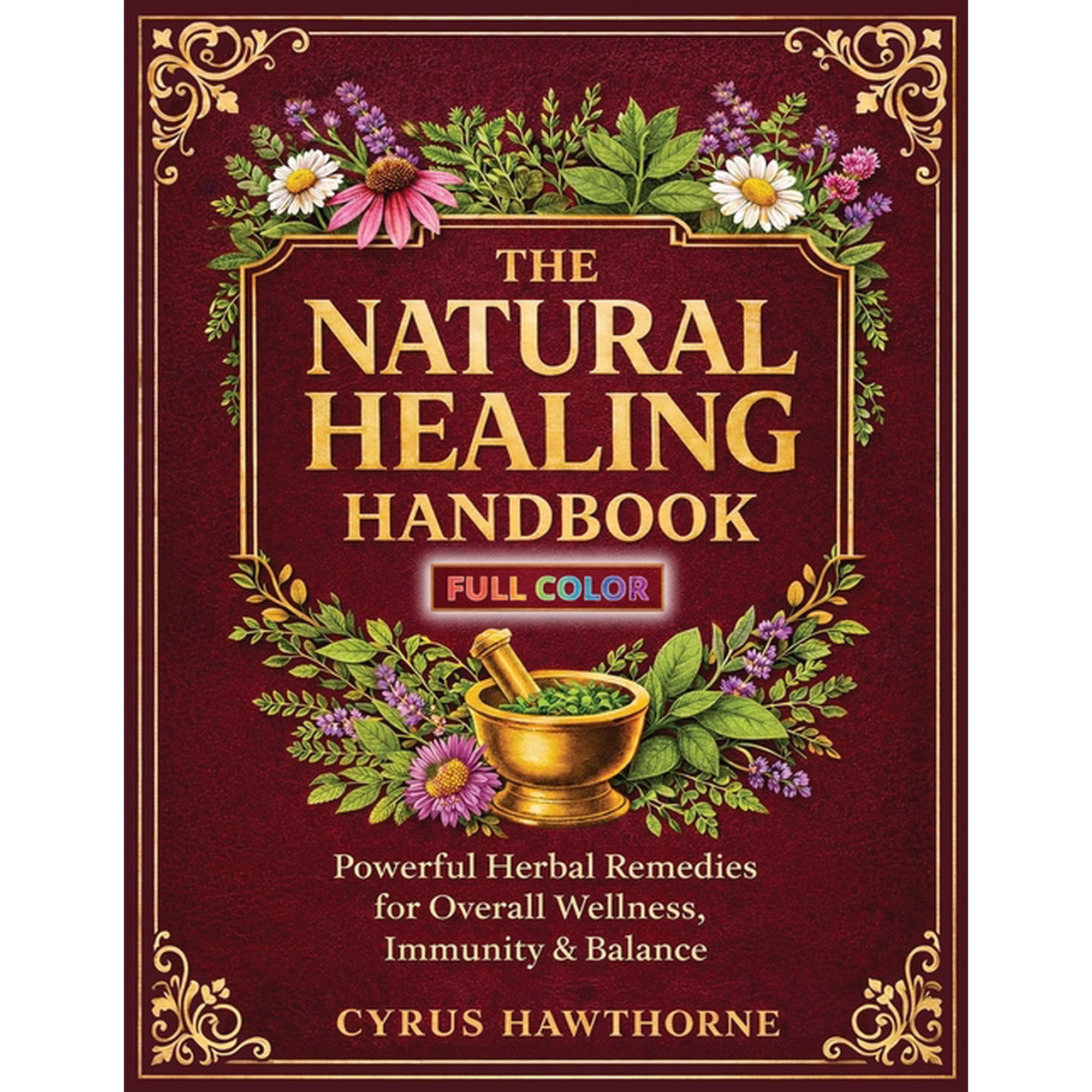 The Natural Healing Handbook, (Paperback)