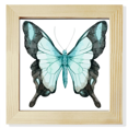 thumbnail image 1 of Mariposa con alas de luz azul Pantalla de escritorio de pared de fotograma cuadrado, 1 of 4