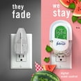 thumbnail image 6 of Febreze Plug In Air Freshener, Odor-Fighting Oil Refill, Sweet Watermelon Vine, 2 Refills, 6 of 13