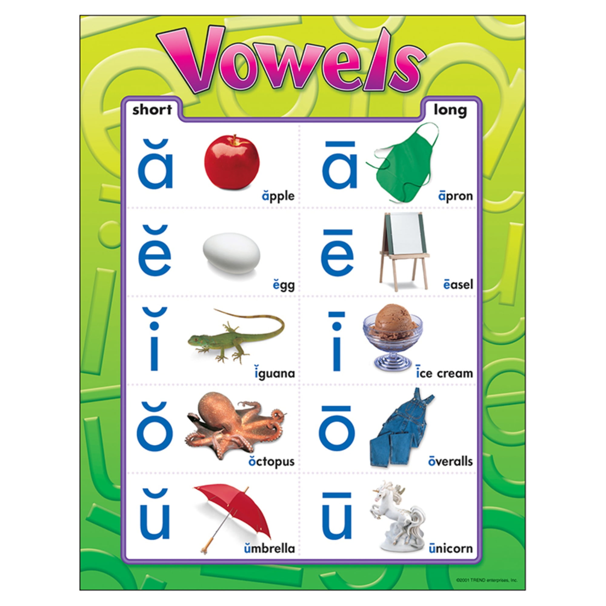 Vowels Learning Chart, 17' x 22'