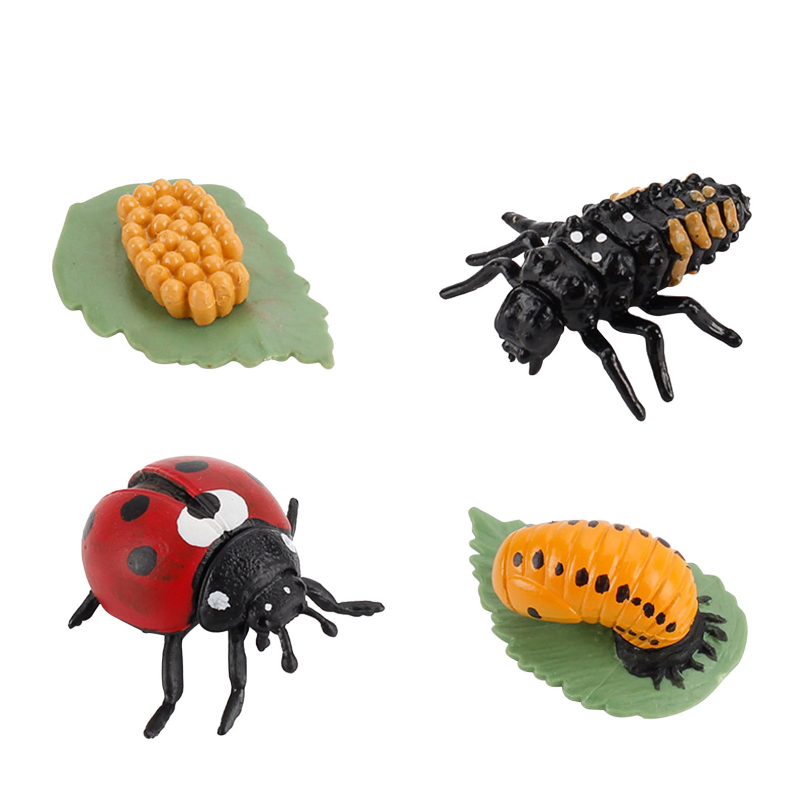 4 Piece Insect Figure Animal Life Cycle Plastic Brood To Mature Period ...