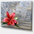 thumbnail image 2 of Beautiful Fallen Red Lily Flower - Large Floral Canvas Artwork, 2 of 4