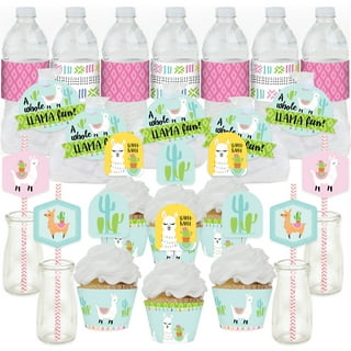 Llama Themed Baby Shower