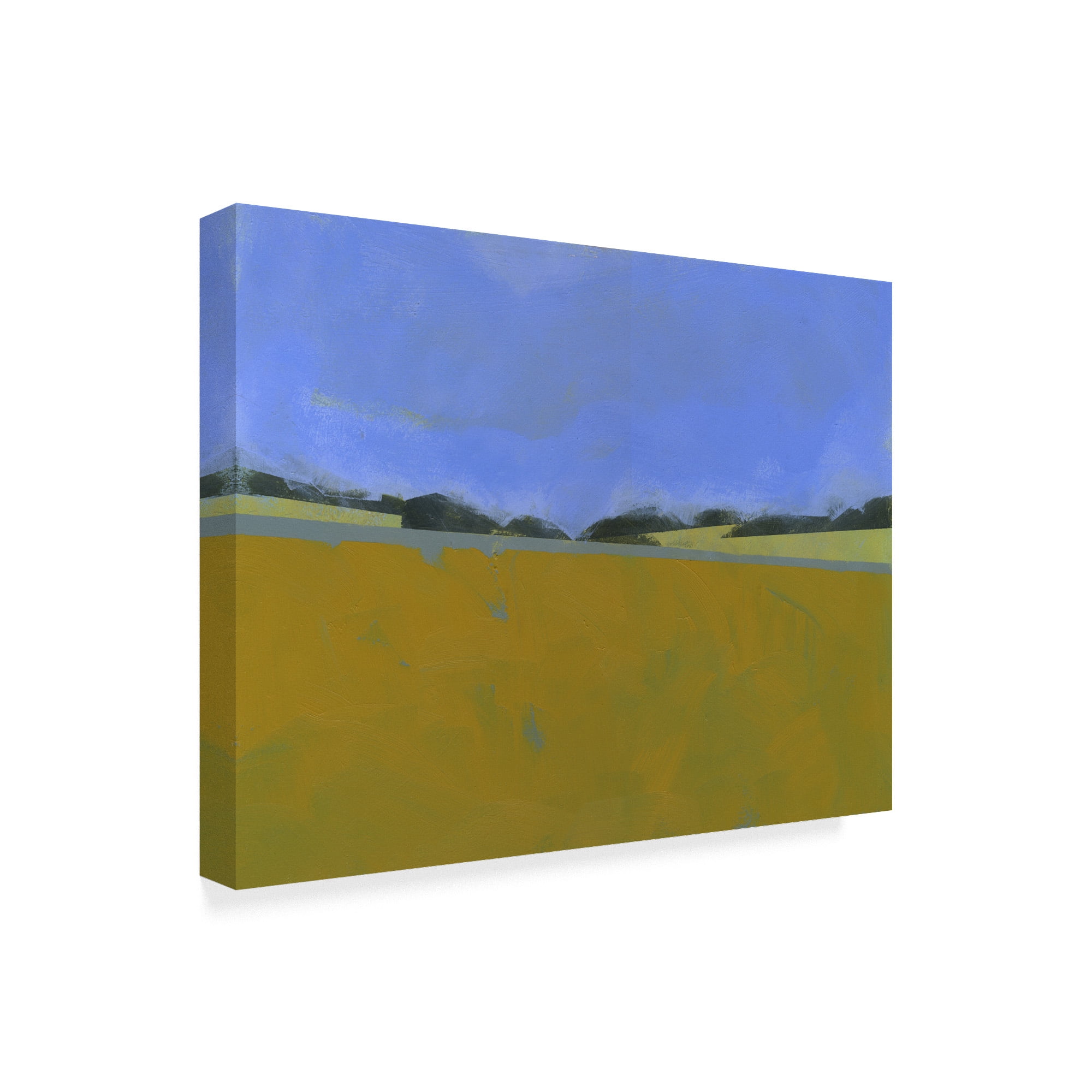 Trademark Fine Art 'Distant Flax' Canvas Art by Paul Bailey
