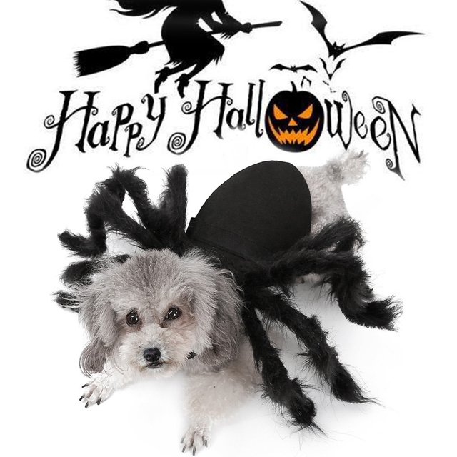 TIMIFIS Costumes d'Halloween pour Chat et Chien Vêtements Ailes d'Araignée pour Chiots Chats Costumes d'Halloween pour Animaux de Compagnie Robe Mignonne Costumes pour Petits Chiens - Automne