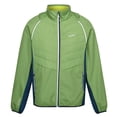 thumbnail image 1 of Regatta Mens Steren II Softshell Hybrid Jacket, 1 of 5